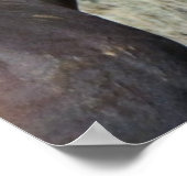 Twee bruine wilde paarden poster (Hoek)