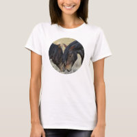 Twee bruine wilde paarden