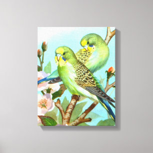 Twee budgerigars vogel canvas afdruk