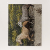 Twee buikpaarden die samen lopen legpuzzel (Verticaal)