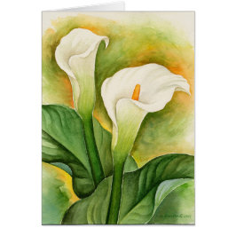 Twee Cala Lilies Waterverf Art - Multi