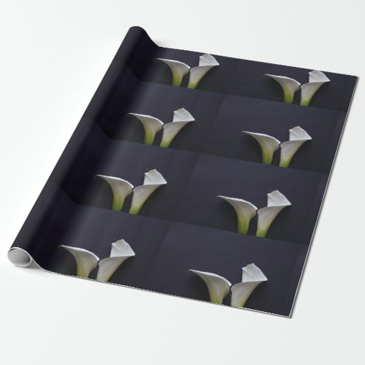 Twee calla leugens op zwart cadeaupapier (Uitgerold)