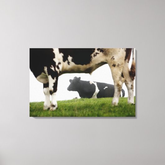 twee canvas afdruk (Voorkant)