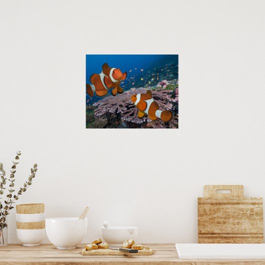 Twee Clownvissen Poster (Keuken)