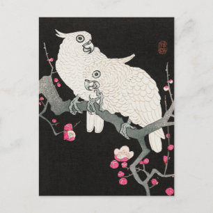 Twee Cockato en Plum Blossom door Ohara Koson Briefkaart