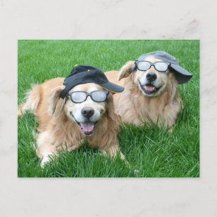 Twee Cool Golden Retrievers in Petten en zonnebril Briefkaart
