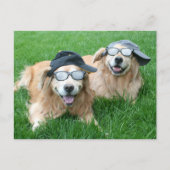 Twee Cool Golden Retrievers in Petten en zonnebril Briefkaart (Voorkant)