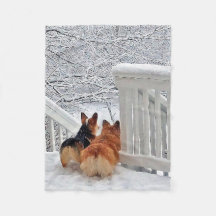 Twee Corgis in de sneeuw