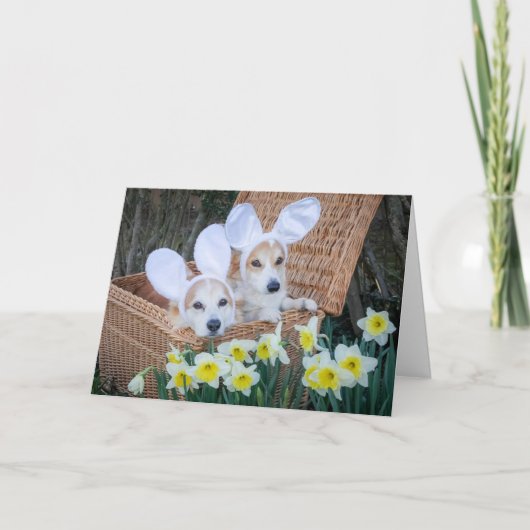Twee Corgis in een Basket Easter wenskaart Kaart (Voorkant)