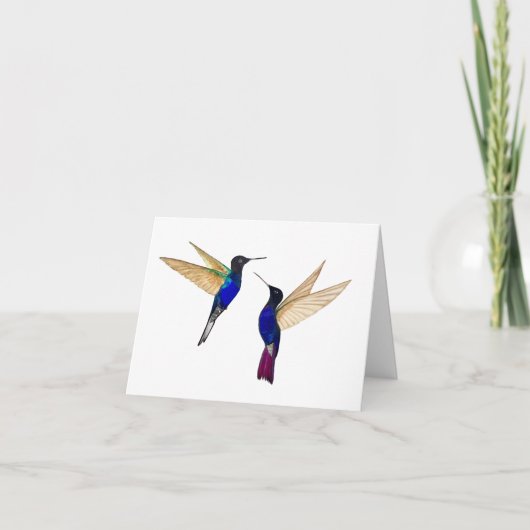 Twee Coronet Hummingbirds Wenskaart Kaart (Voorkant)
