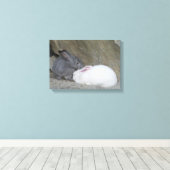 Twee Cute Bunny Rabbits Canvas Afdruk (Insitu (Houten vloer))