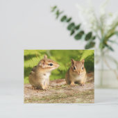 Twee Cute Chipmunk Babies Briefkaart (Staand voorkant)