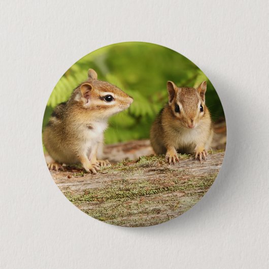 Twee Cute Chipmunk Babies Ronde Button 5,7 Cm (Voorkant)