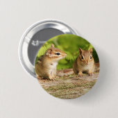Twee Cute Chipmunk Babies Ronde Button 5,7 Cm (Voorkant /achterkant)