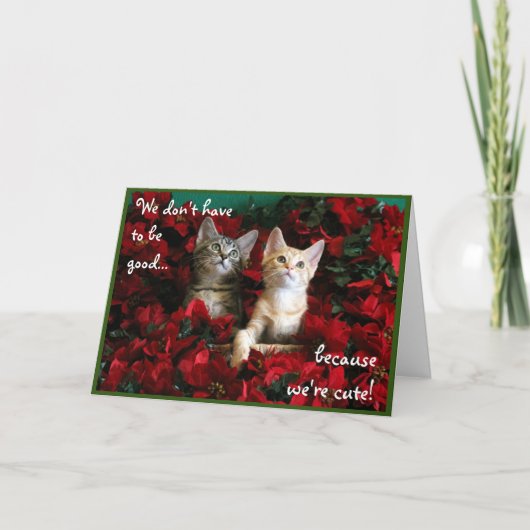 Twee Cute Kittens en Red Poinsettias Kaart (Voorkant)