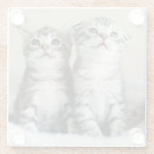 Twee Cute Kittens Glazen Onderzetter (Achterkant)