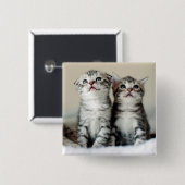 Twee Cute Kittens Vierkante Button 5,1 Cm (Voorkant /achterkant)