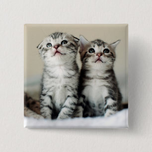 Twee Cute Kittens Vierkante Button 5,1 Cm