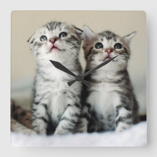 Twee Cute Kittens Vierkante Klok