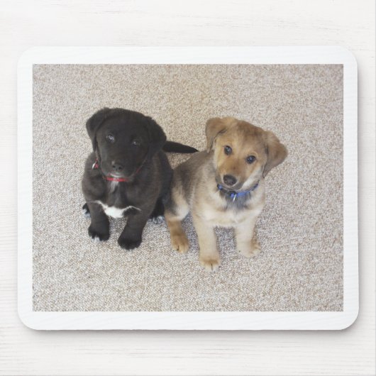 Twee Cute Labrador-Puppies Muismat (Voorkant)