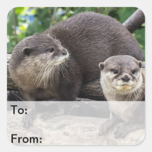 Twee Cute Otters Otter Vierkante Sticker