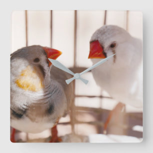 Twee cute vinken in kooi vierkante klok