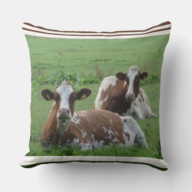 Twee Cute White-Brown Koeien Pillow Kussen (Voorkant)