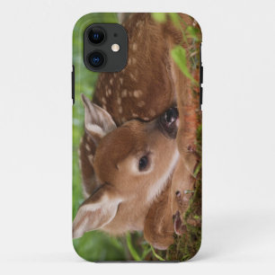 Twee dagen oude baby witstaarthert, Kentucky. iPhone 11 Hoesje