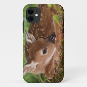 Twee dagen oude baby witstaarthert, Kentucky. iPhone 11 Hoesje