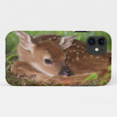 Twee dagen oude Witstaartdij baby, Kentucky. Case-Mate iPhone Case (Achterkant (horizontaal))