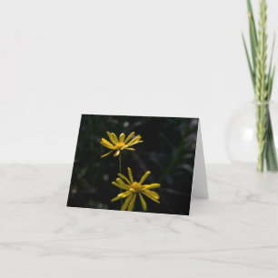 Twee Daisy Flowers Kaart