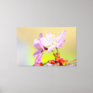 Twee dappere kersenbloesems en kleurrijke achtergr canvas afdruk