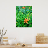 Twee Daylileugens en Artemesia Poster (Keuken)