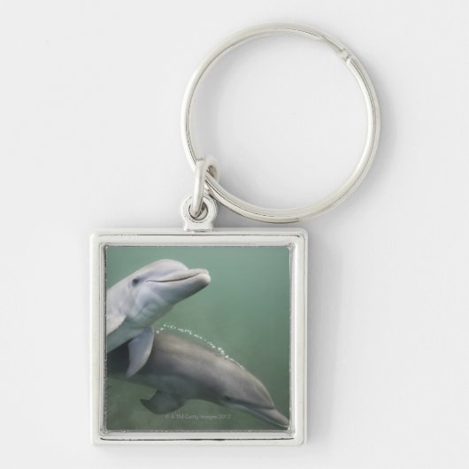 Twee Dolfijnen onder water Sleutelhanger (Voorkant)