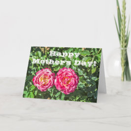 Twee donkerroze rozen met donkergroene bladeren kaart