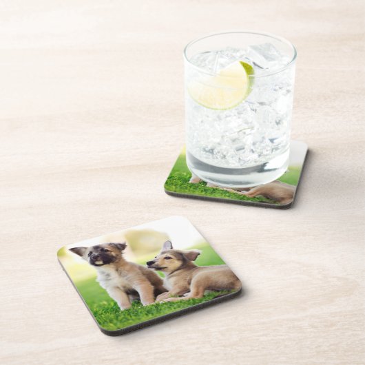 Twee Duitse Puppies van Shepherd Bier Onderzetter (Rechterzijde)