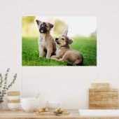 Twee Duitse Puppies van Shepherd Poster (Keuken)