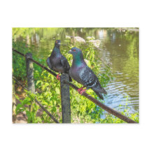 Twee duiven. Roath Park Lake, Cardiff, Wales