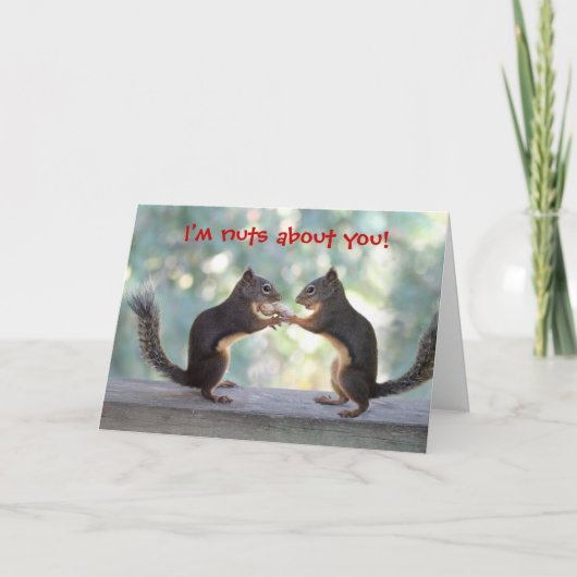 Twee eekhoorns delen kaart (Voorkant)