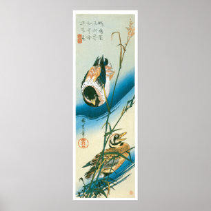 Twee eenden die zwemmen onder de riffen poster