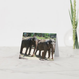 Twee Elephans op een lege notitiekaart
