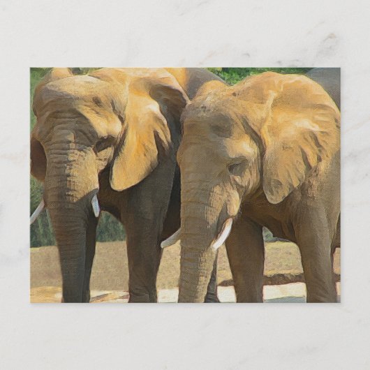 Twee Elephant Friends Briefkaart (Voorkant)