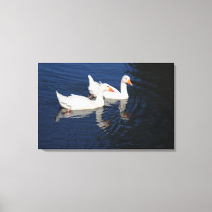 Twee Emden Geese Canvas Afdruk