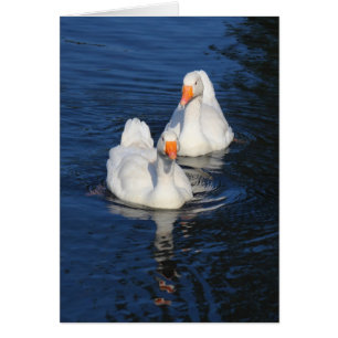 Twee Emden Geese II