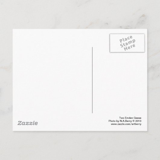 Twee Emden Geese II Briefkaart (Achterkant)