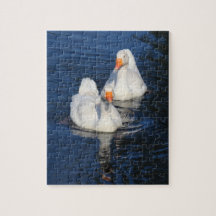 Twee Emden Geese II