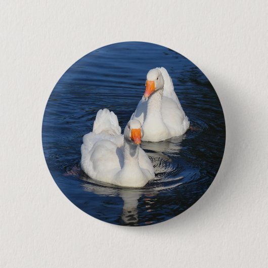 Twee Emden Geese II Ronde Button 5,7 Cm (Voorkant)