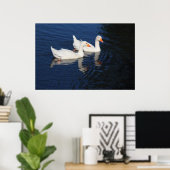 Twee Emden Geese Poster (Thuiskantoor)