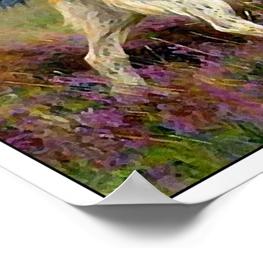 Twee Engelse zetters in een Field - Arthur Wardle Poster (Hoek)