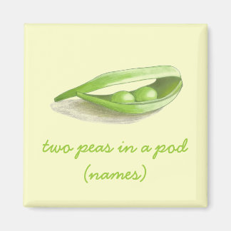 Twee Erwten in een Pod Paar Magneet